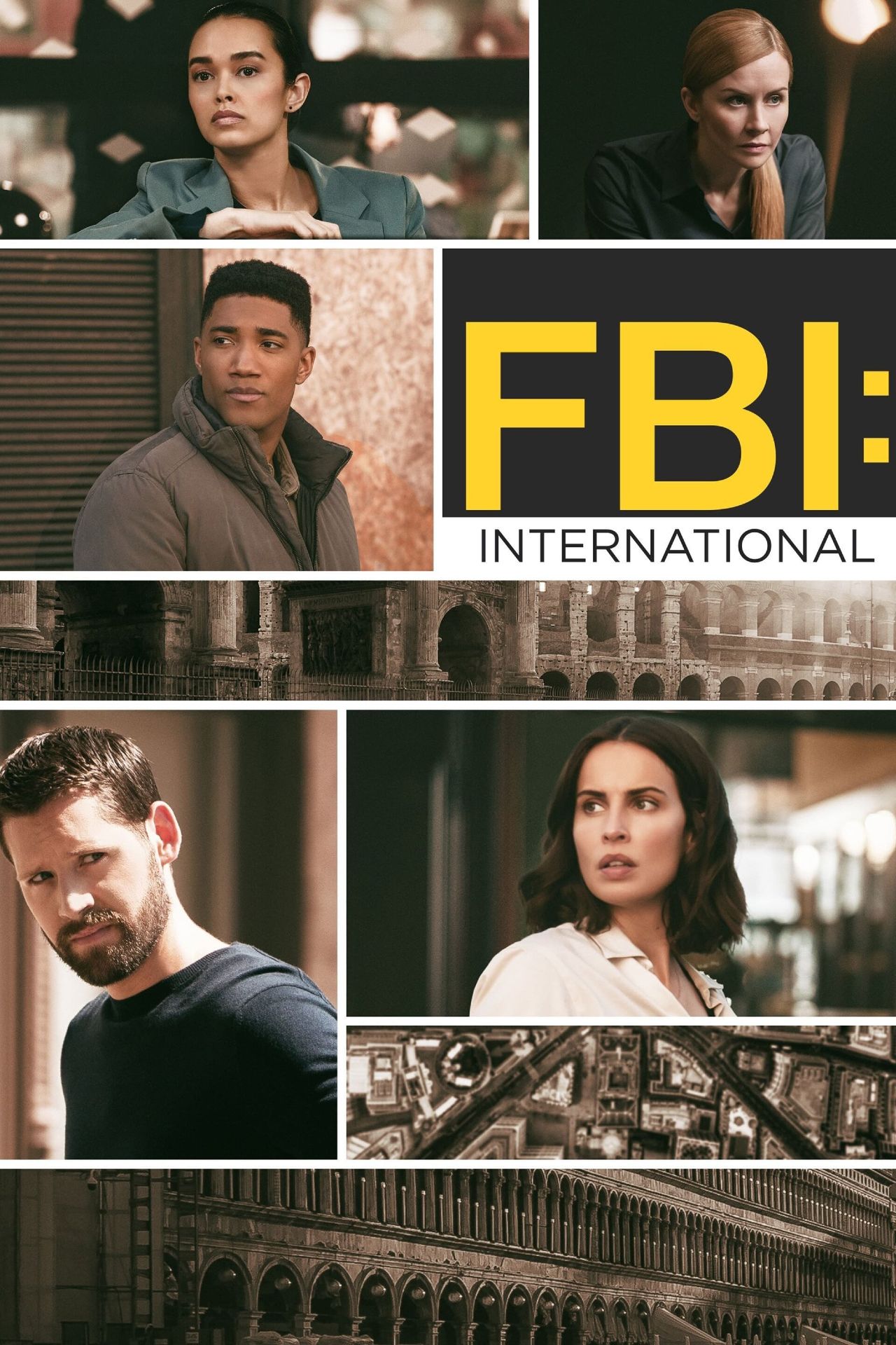 Pôster da série de TV internacional do FBI