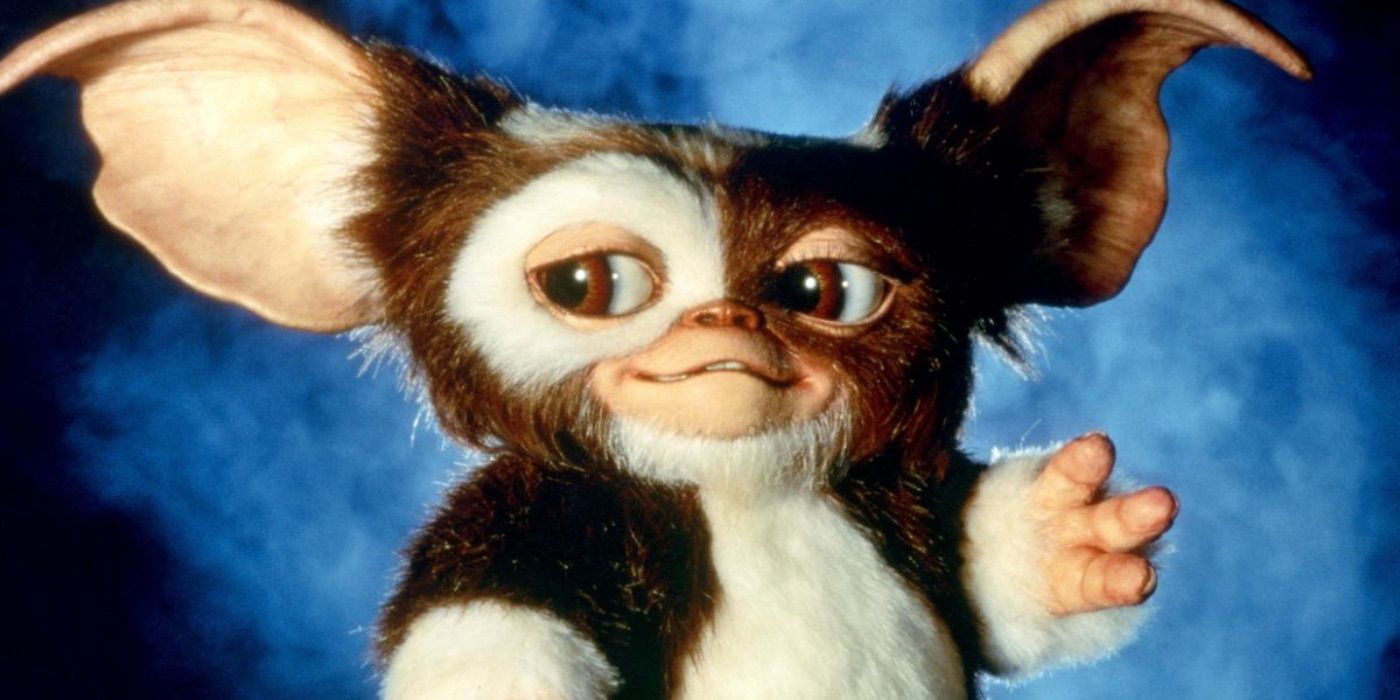 Gizmo looks on in a promo image for Gremlins