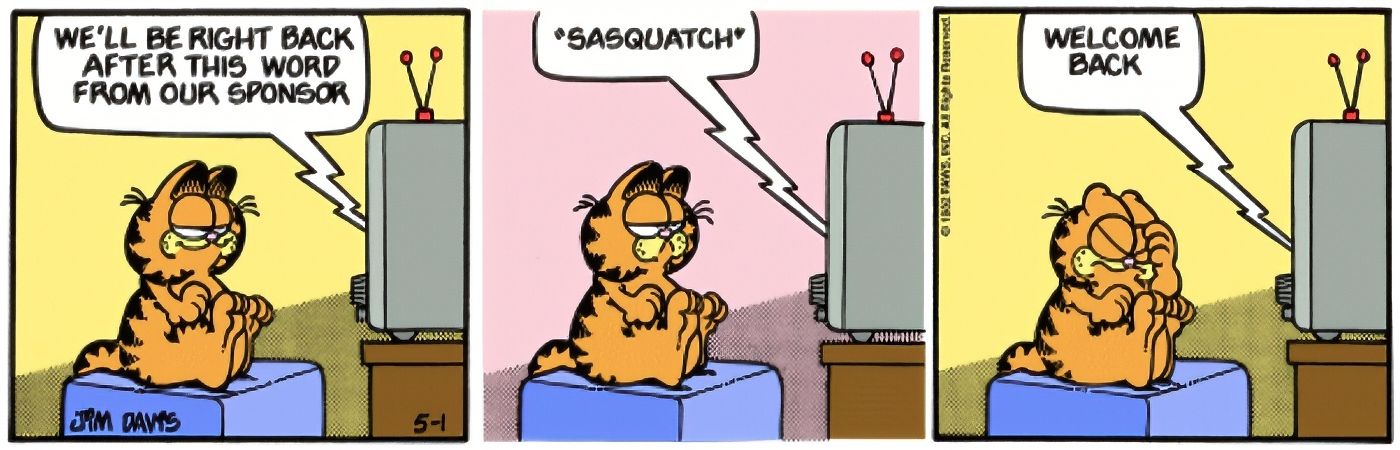 Garfield assistindo TV.