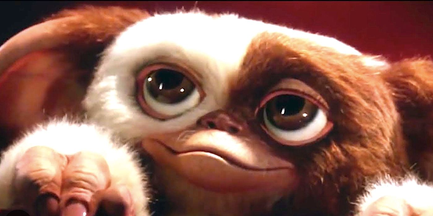 Gizmo the mogwai looks up and smiles in Gremlins