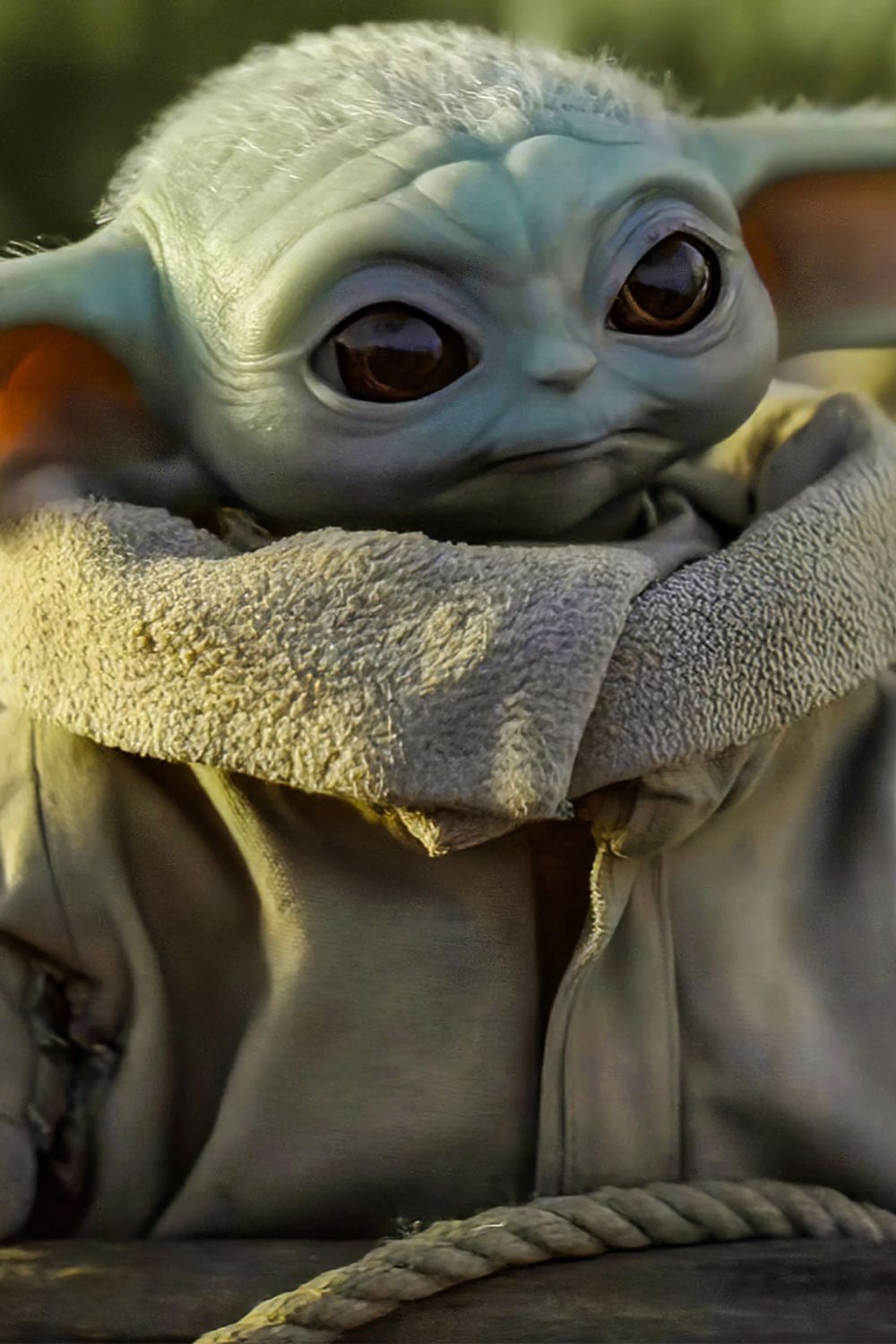 Incredible Star Wars Theory Reveals Just Who REALLY Kept Grogu Safe From The Empire
