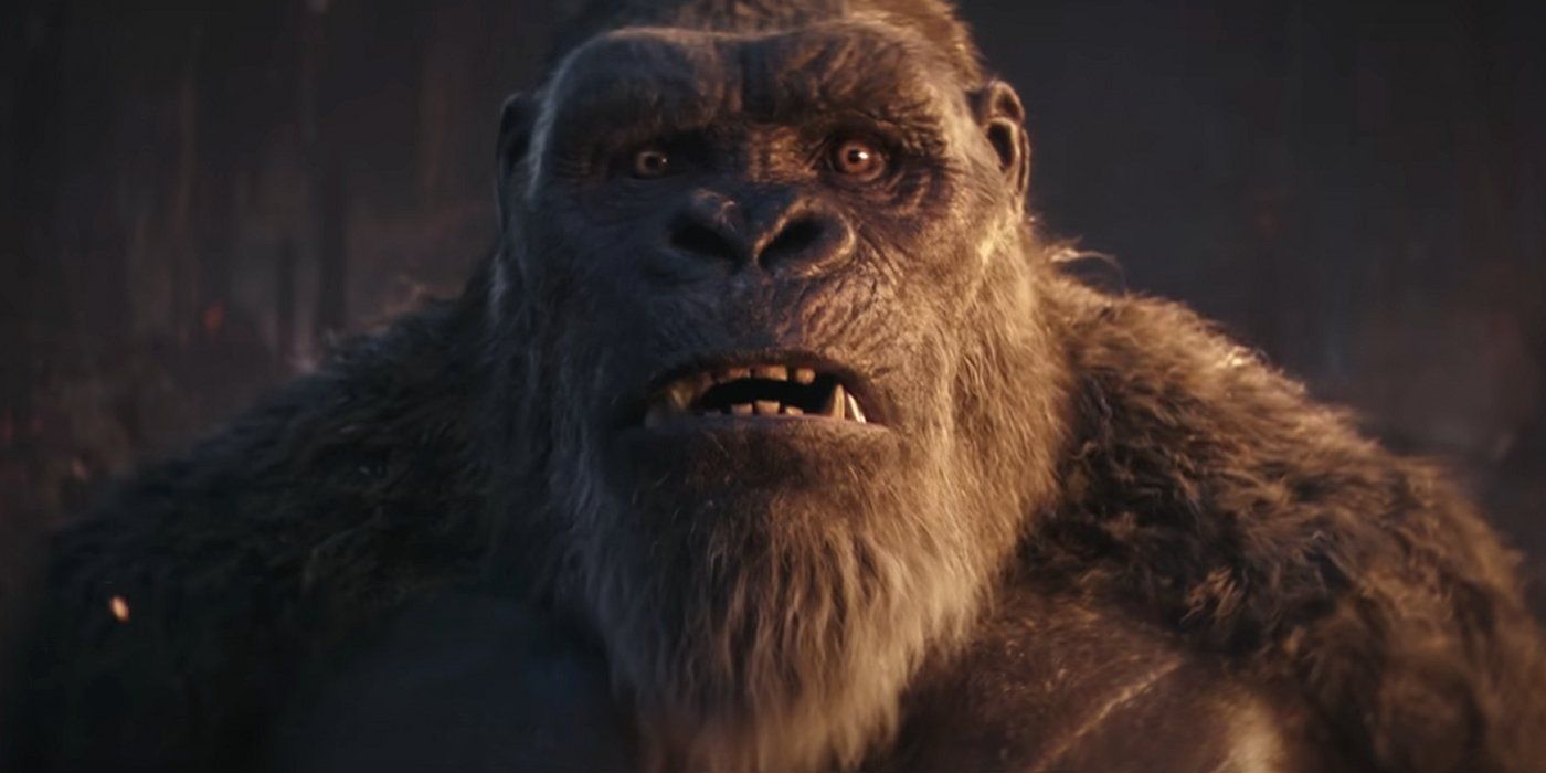 Kong looks surprised in Godzilla x kong