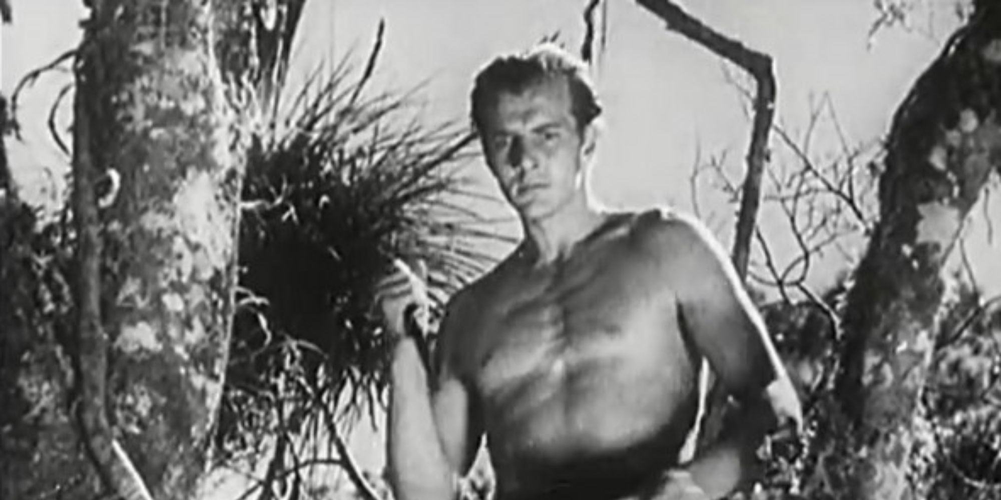Bruce Bennett as Tarzan