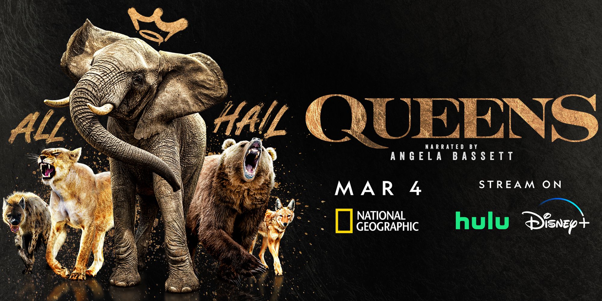 National Geographic Queens Key Art-1 - About Queens