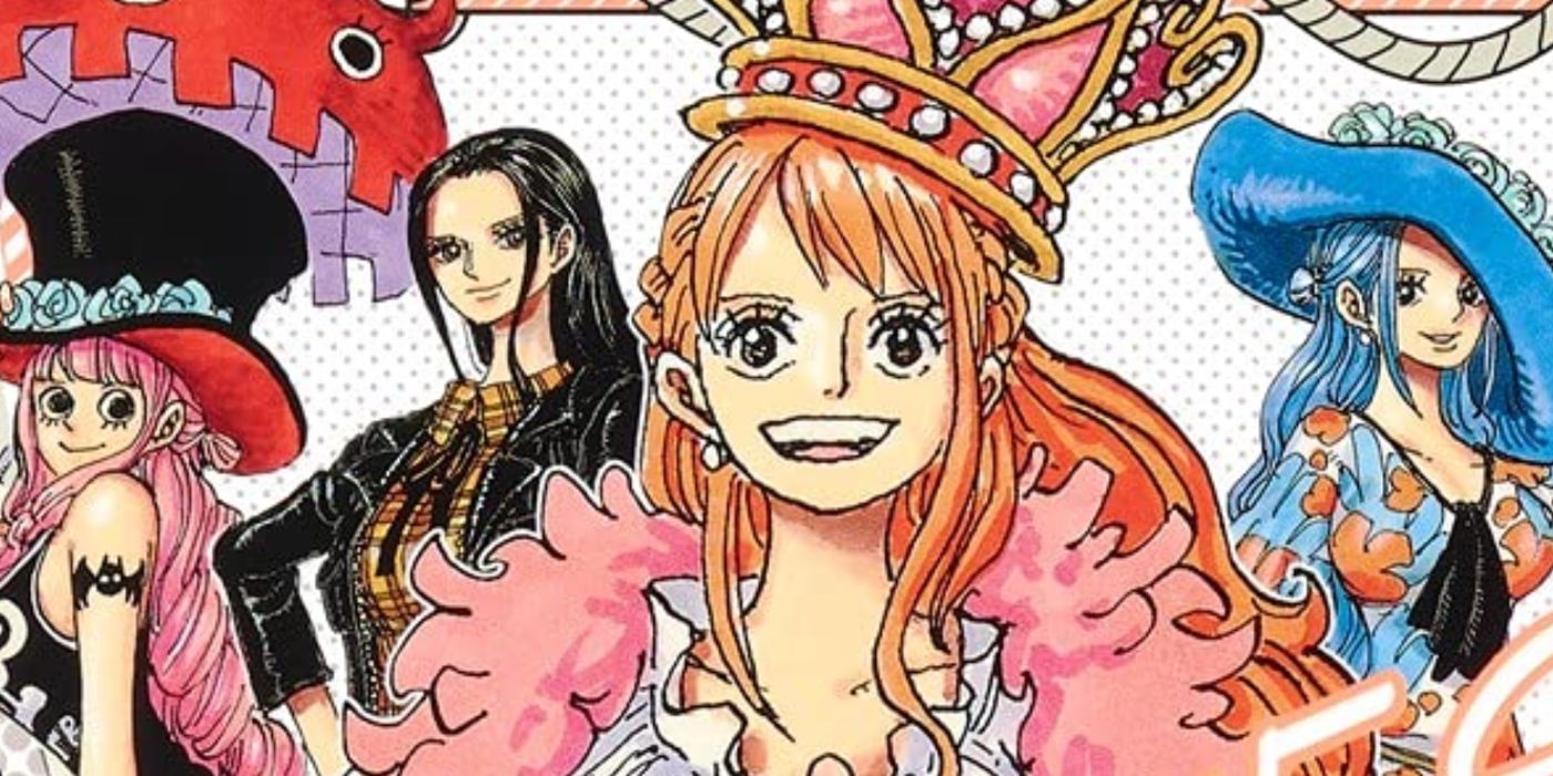 One Piece Heroines Novel Depicting Nami & Robin