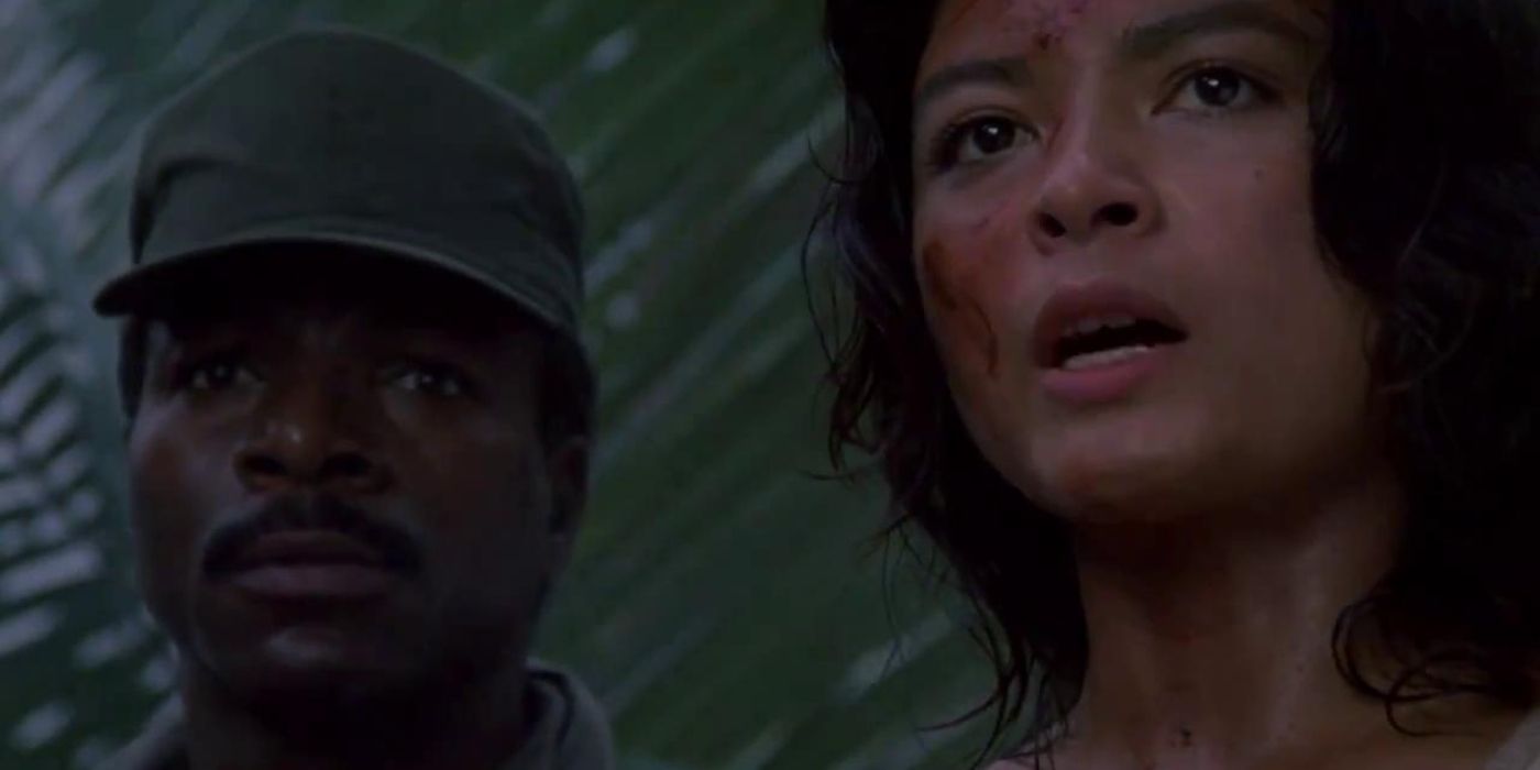 Predator Anna Dillon