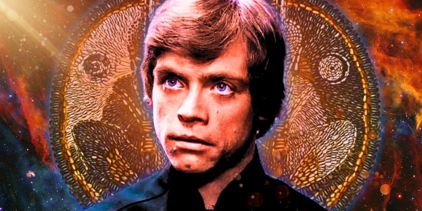 Luke Skywalker stood in front of the Prime Jedi insignia