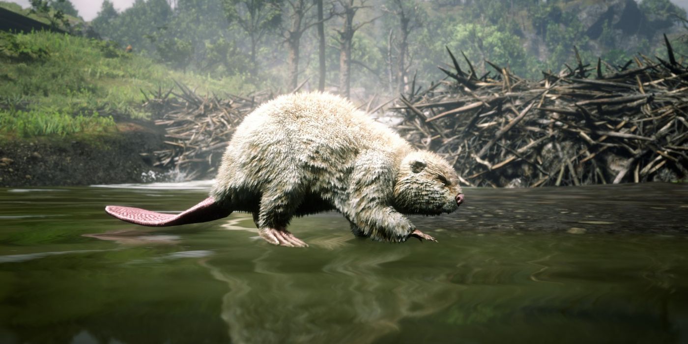 The Legendary Beaver standing in shallow water in front of a dam in Red Dead Redemption 2