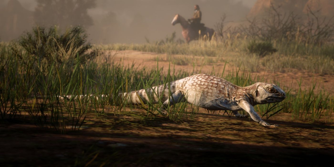 10 самых крутых животных Red Dead Redemption 2, на которых можно охотиться или ловить
