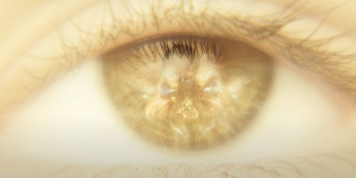 Mothra's appears in Jia's eye as she has vision in Godzilla x Kong