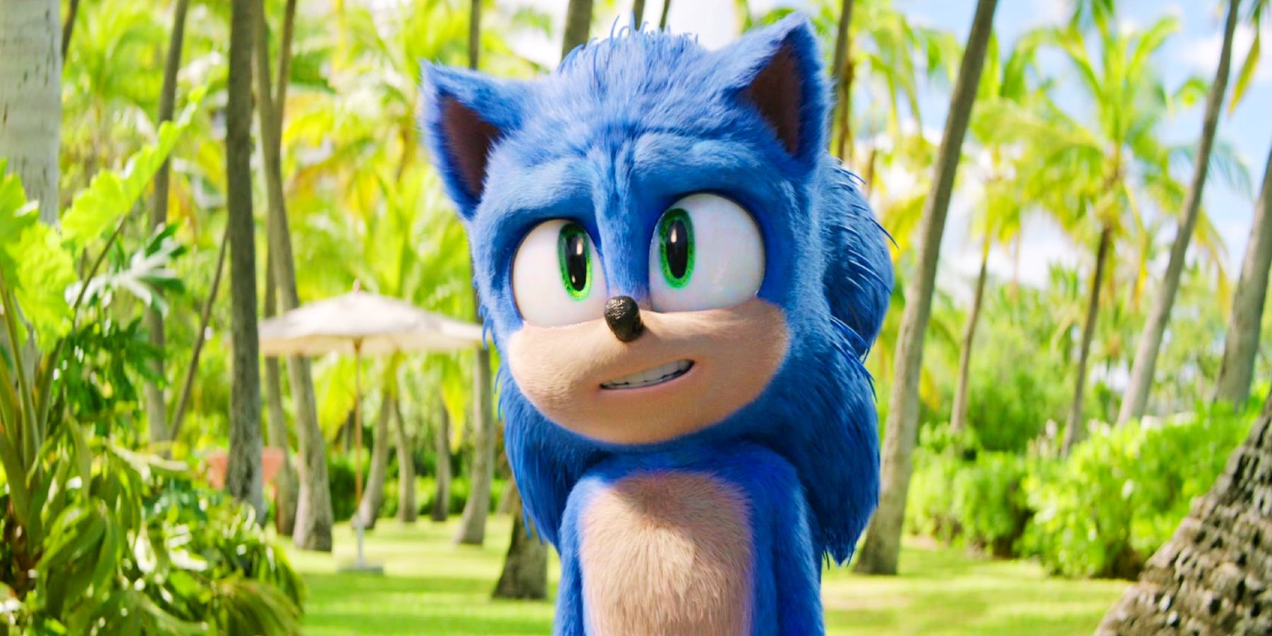 Sonic smiling in a tropical setting in Sonic the Hedgehog 2