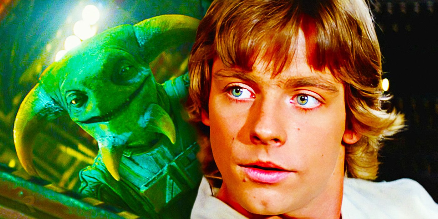 Boolio from Star Wars: Episode IX - The Rise of Skywalker and Luke Skywalker from Star Wars, both played by Mark Hamill