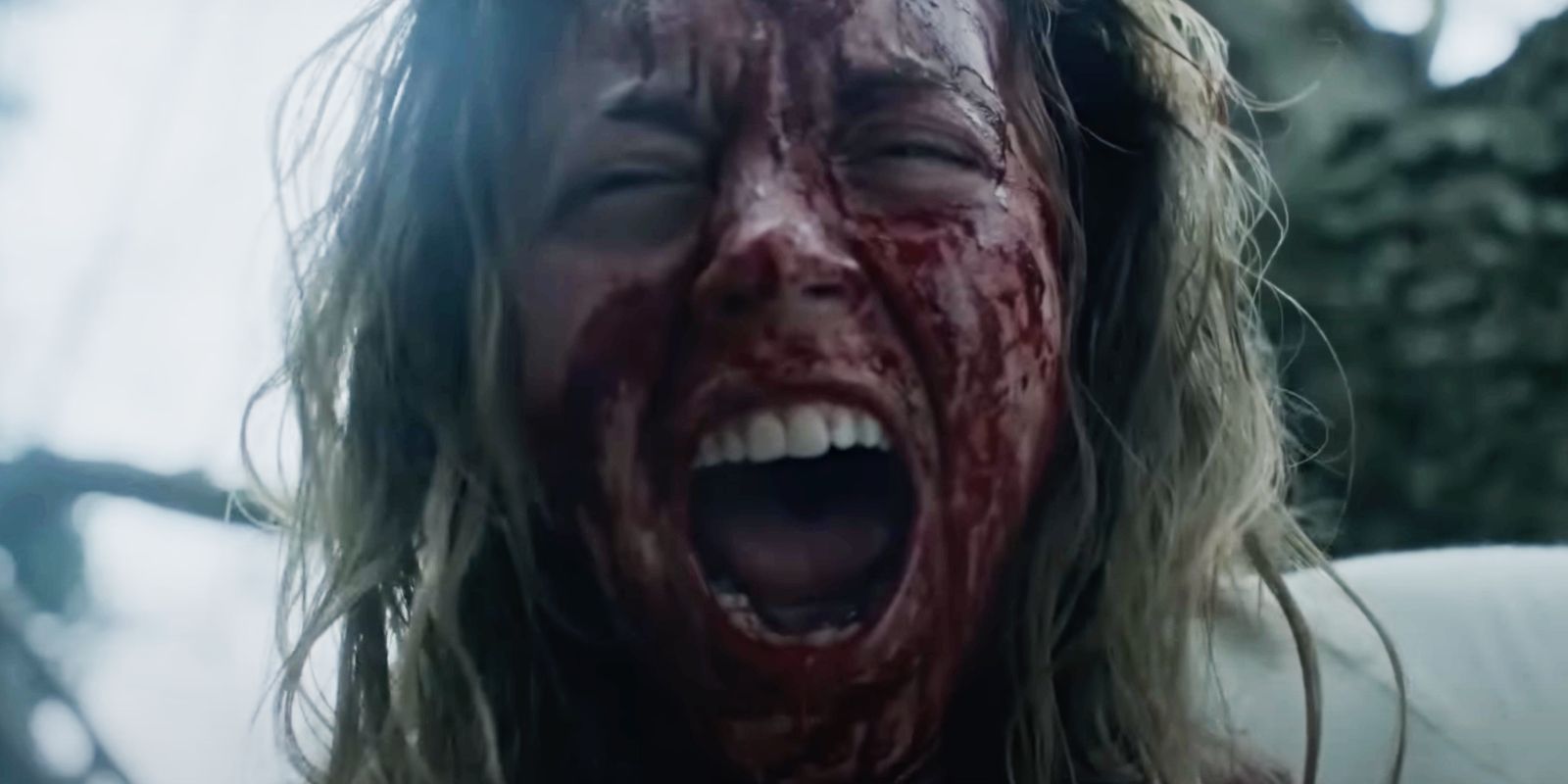 Sydney Sweeney as Cecilia screaming with blood on her face in Immaculate