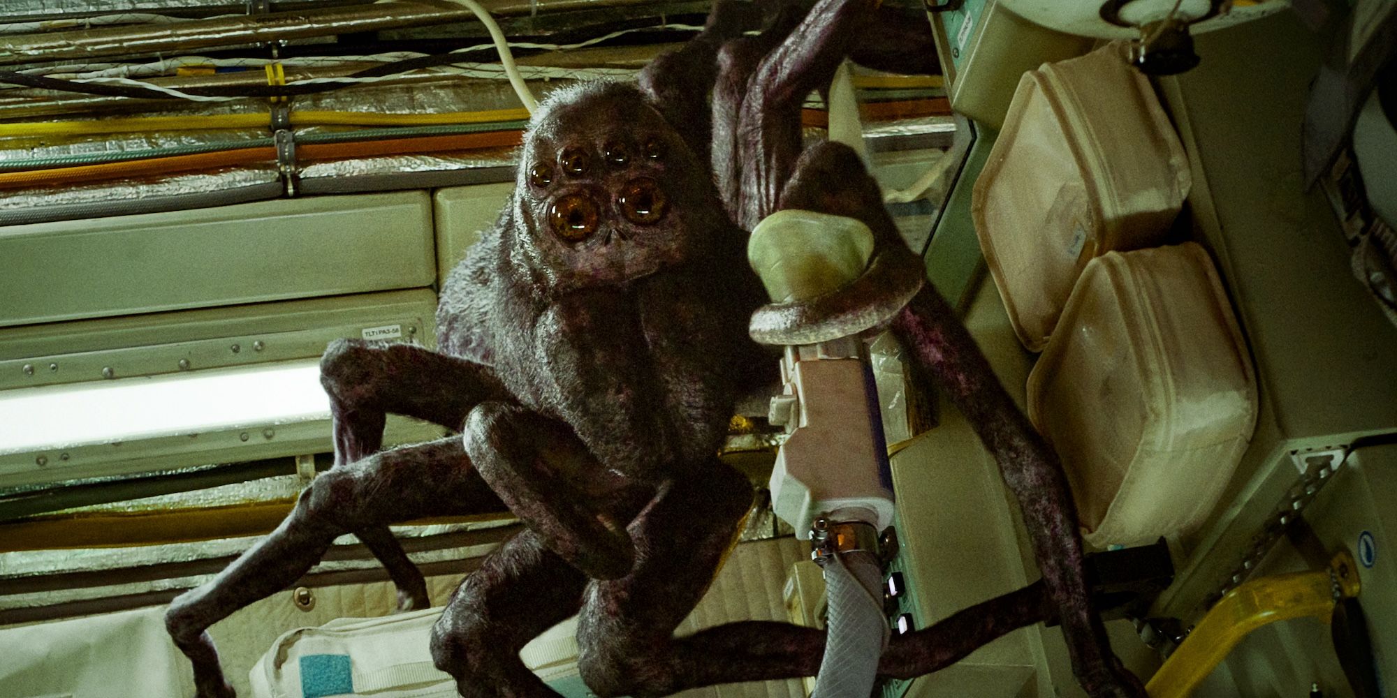 the spider crawls around seats in Spaceman