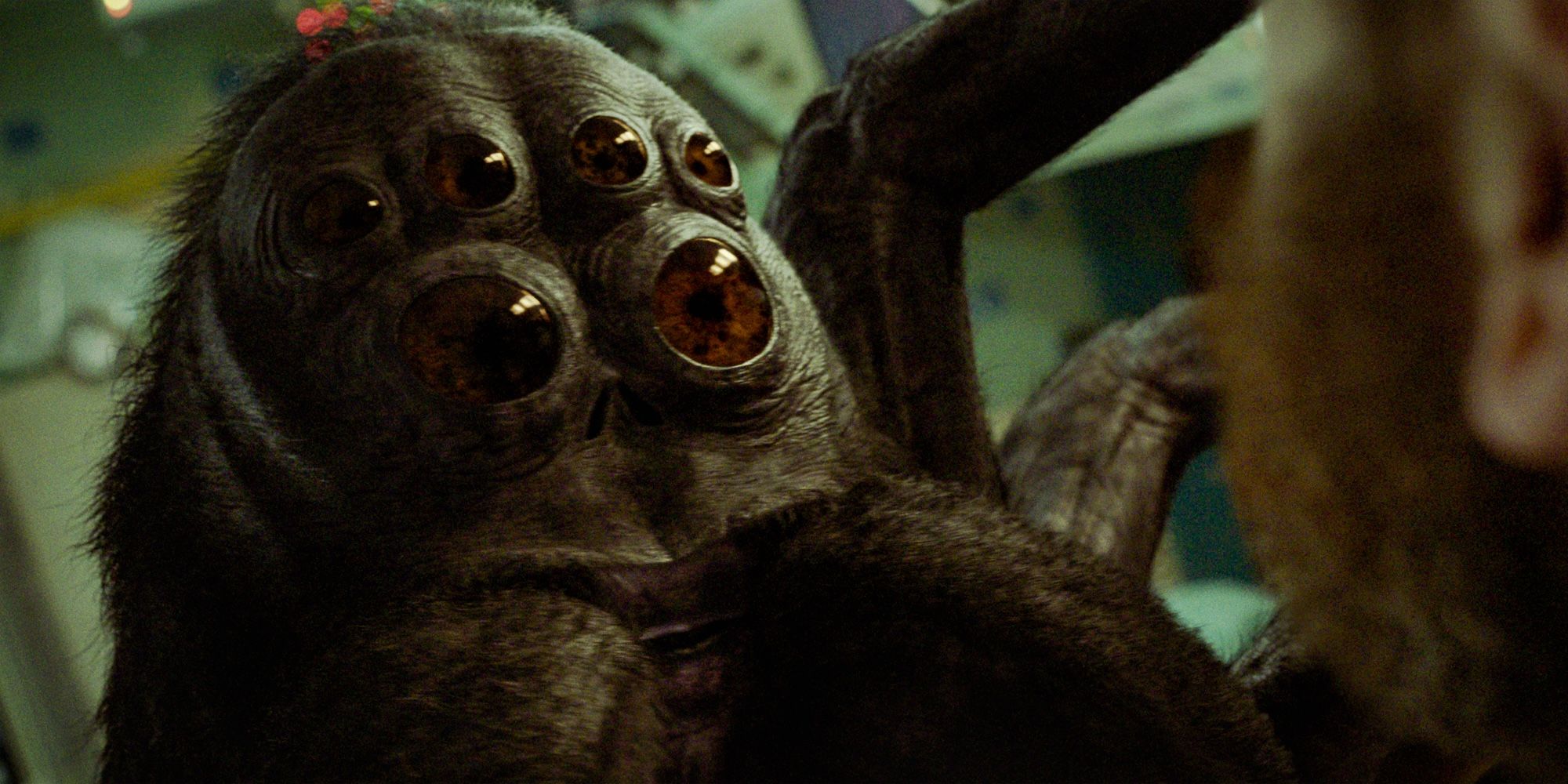 The spider creature talks to Adam Sandler in Spaceman