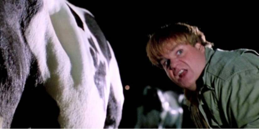 Tommy (Chris Farley) with a cow in Tommy Boy.