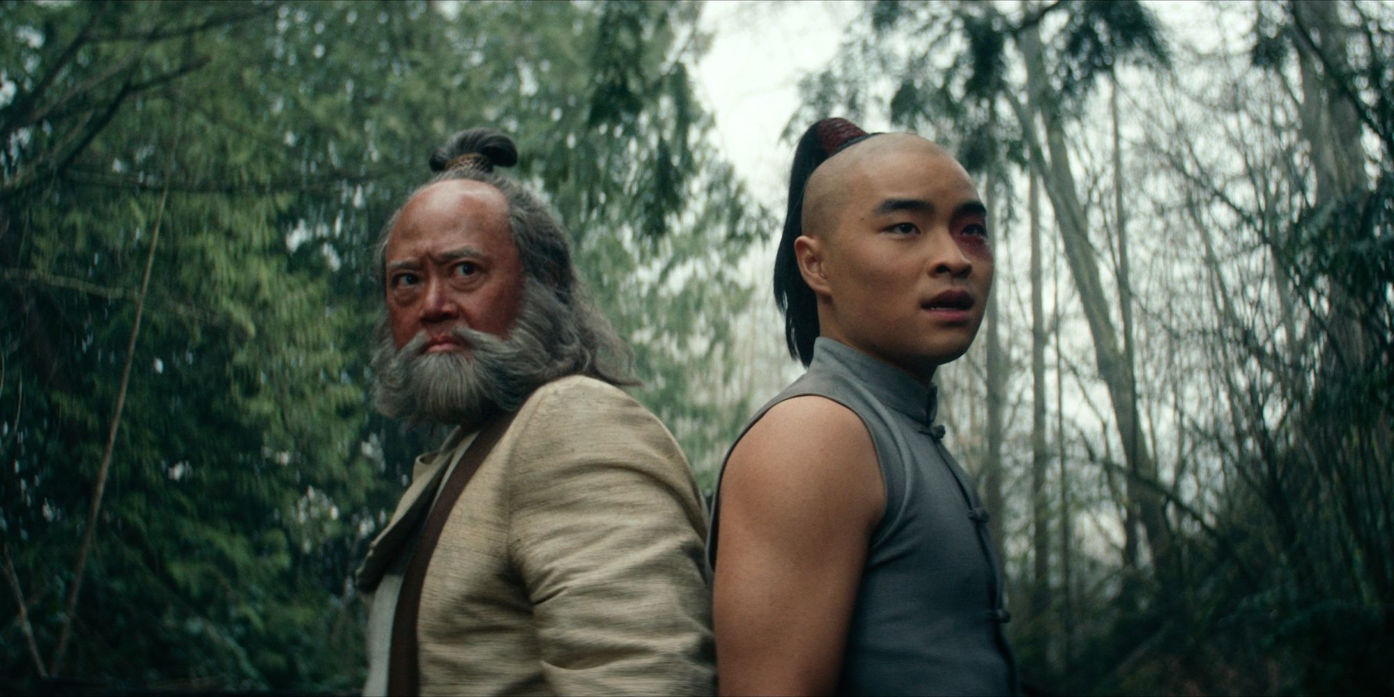 Uncle Iroh and Zuko stand back to back ready to fight in Avatar The Last Airbender series
