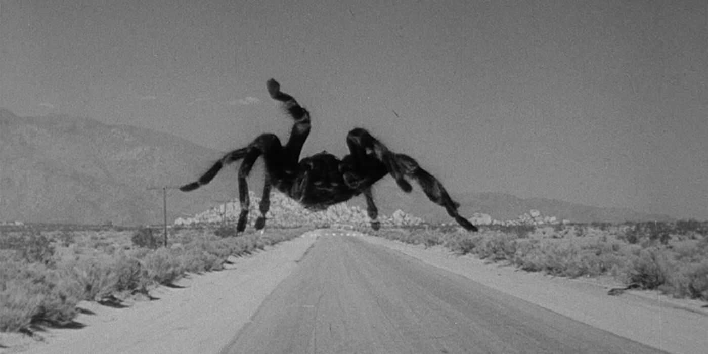 A large tarantula crossing an empty landscape in the 1955 film The Tarantula