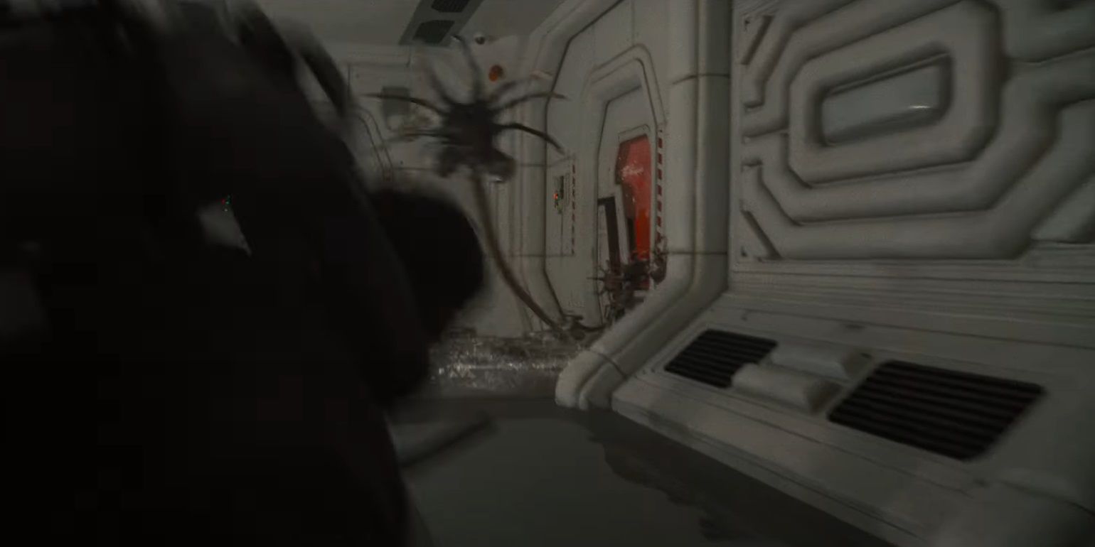 A horde of facehuggers in a hallway in Alien Covenant