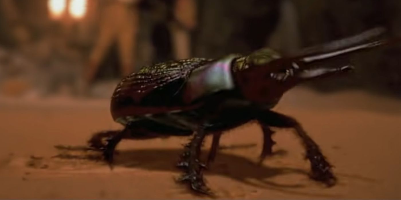A scarab in a scene from The Mummy.