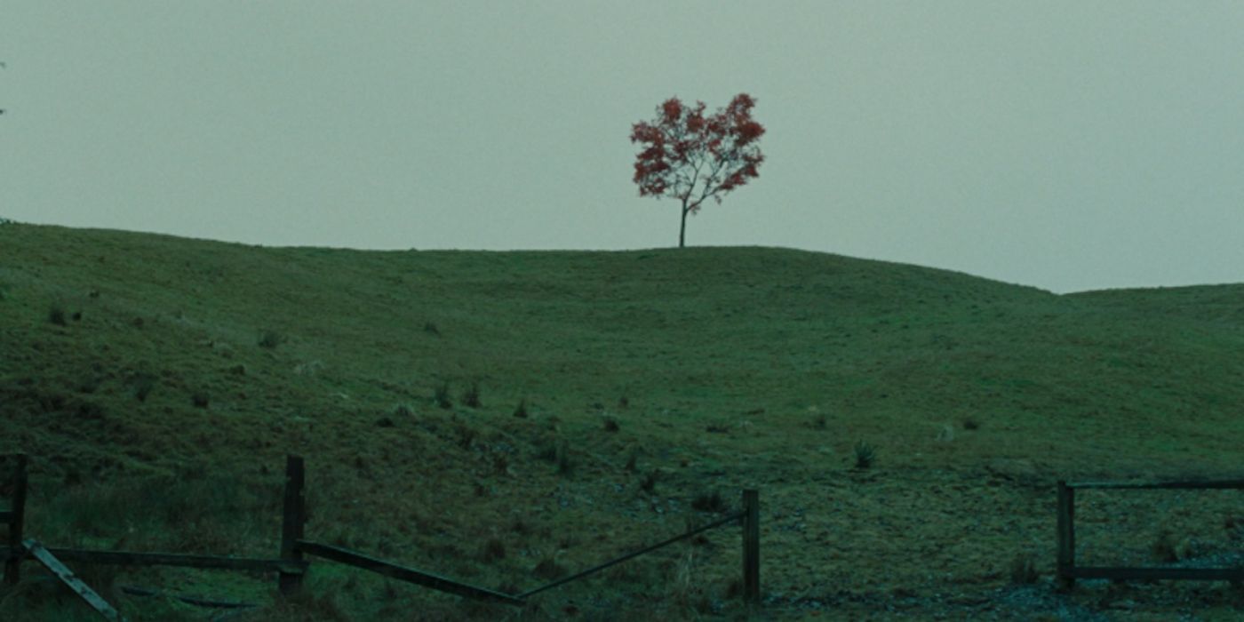 Uma árvore em uma colina na Ilha Moeskoe em The Ring.