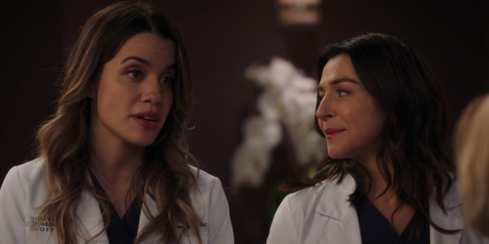 Natalie Morales As Monica Beltran & Caterina Scorsone As Amelia Shepherd In Grey's Anatomy.jpg