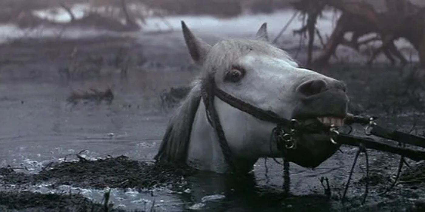 The NeverEnding Story Remake: Confirmation, Franchise Plans & Everything We Know