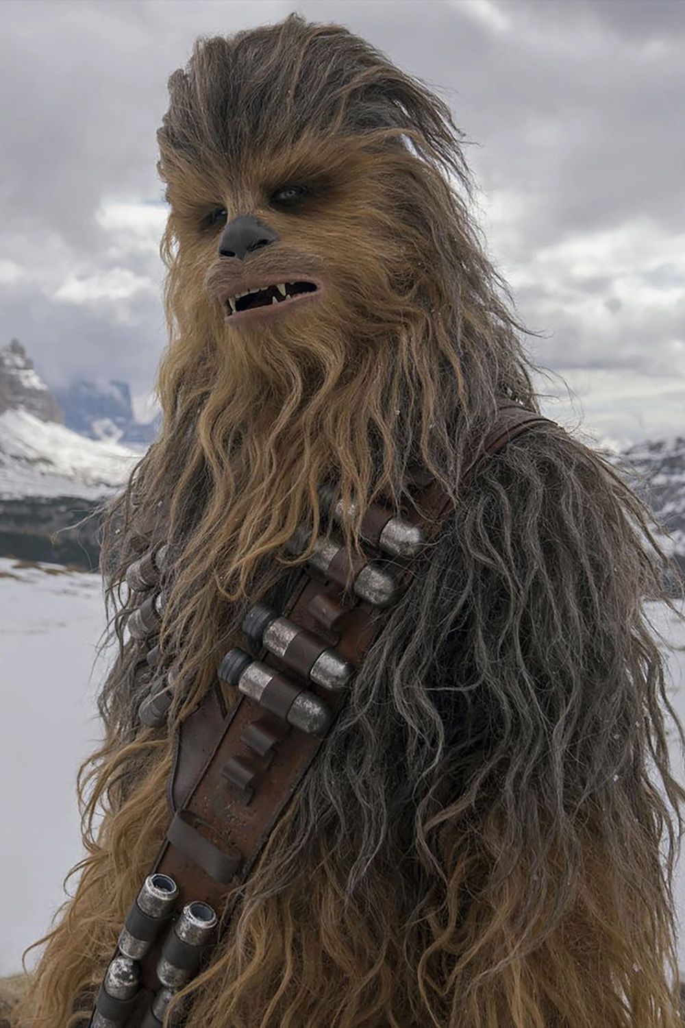 Chewbacca in Solo A Star Wars Story