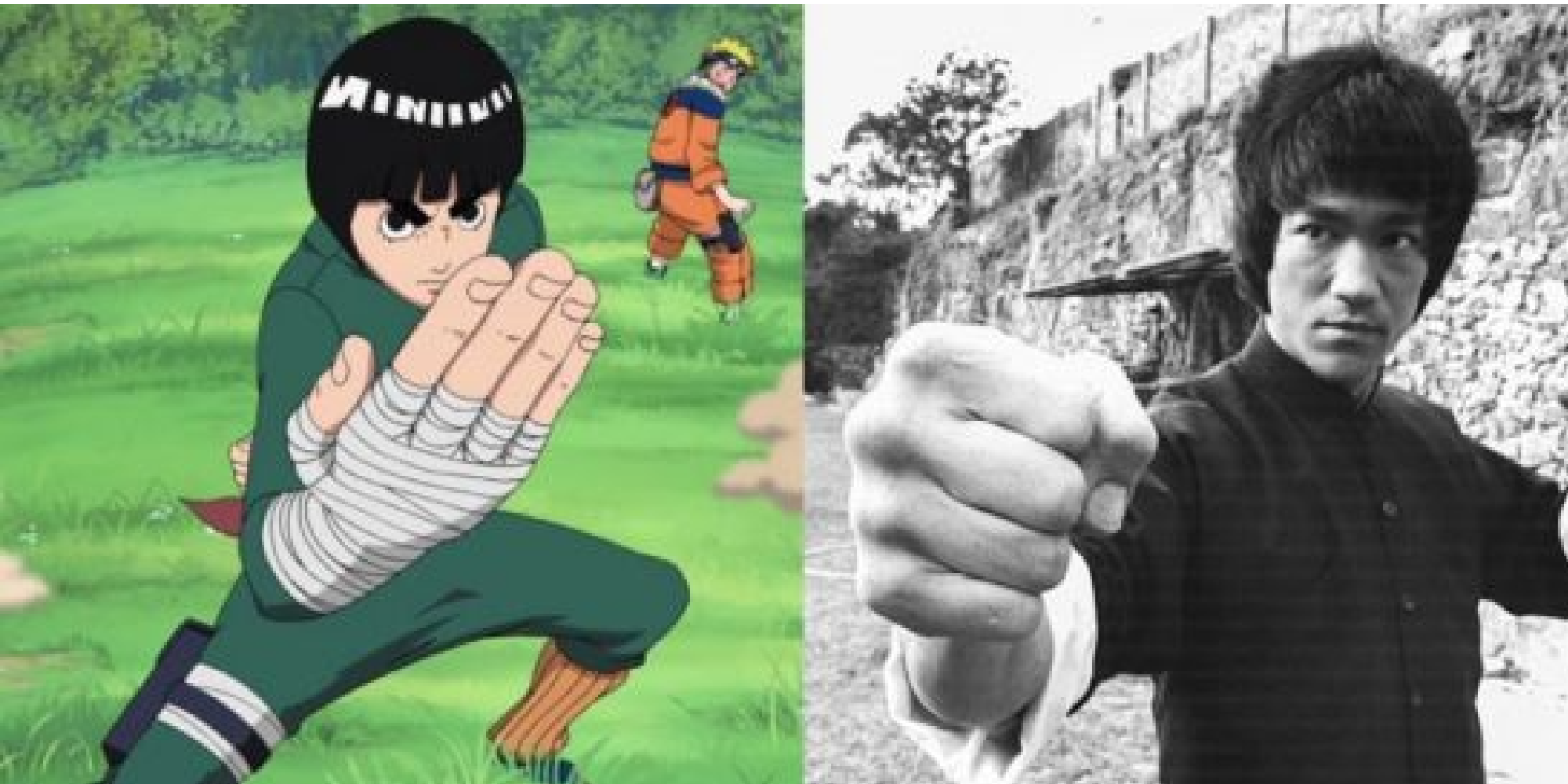 Comparison of Rock Lee and Bruce Lee in a collage-style image.