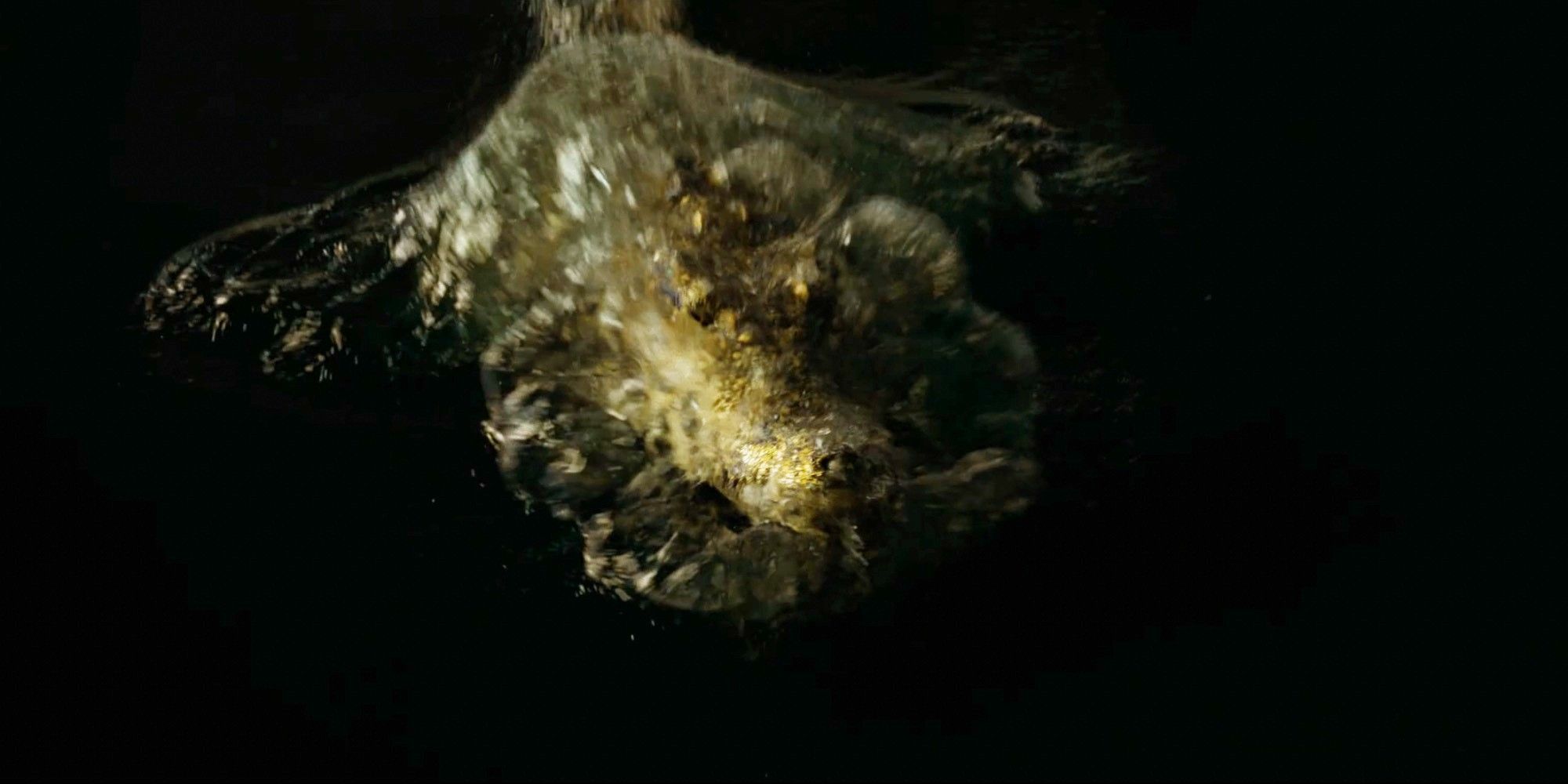 Um crocodilo nada no oceano Road House (2024).