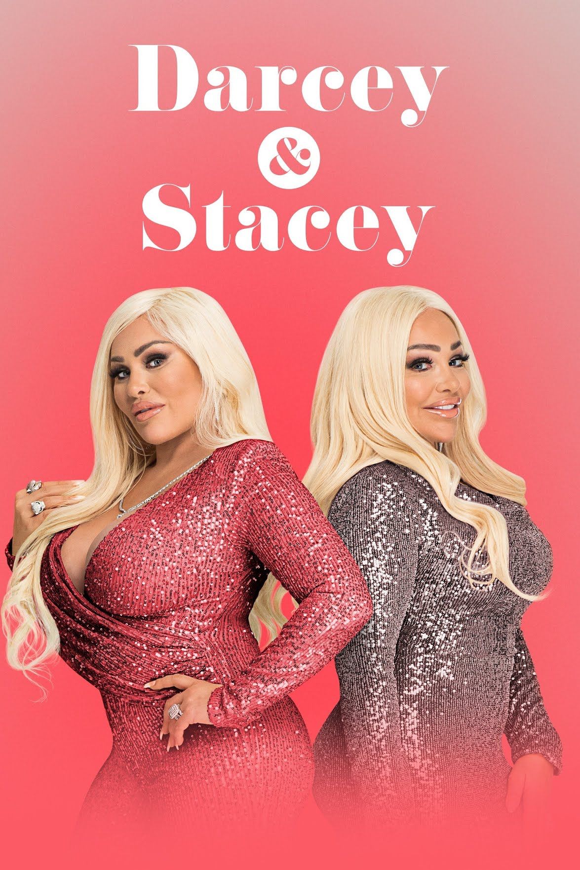 Póster de la serie de televisión Darcy y Stacey