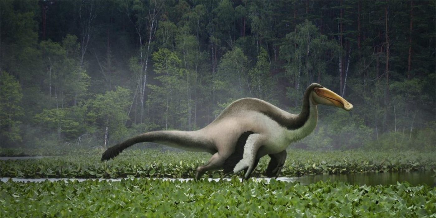 Deinocheirus, a large duck-billed dinosaur