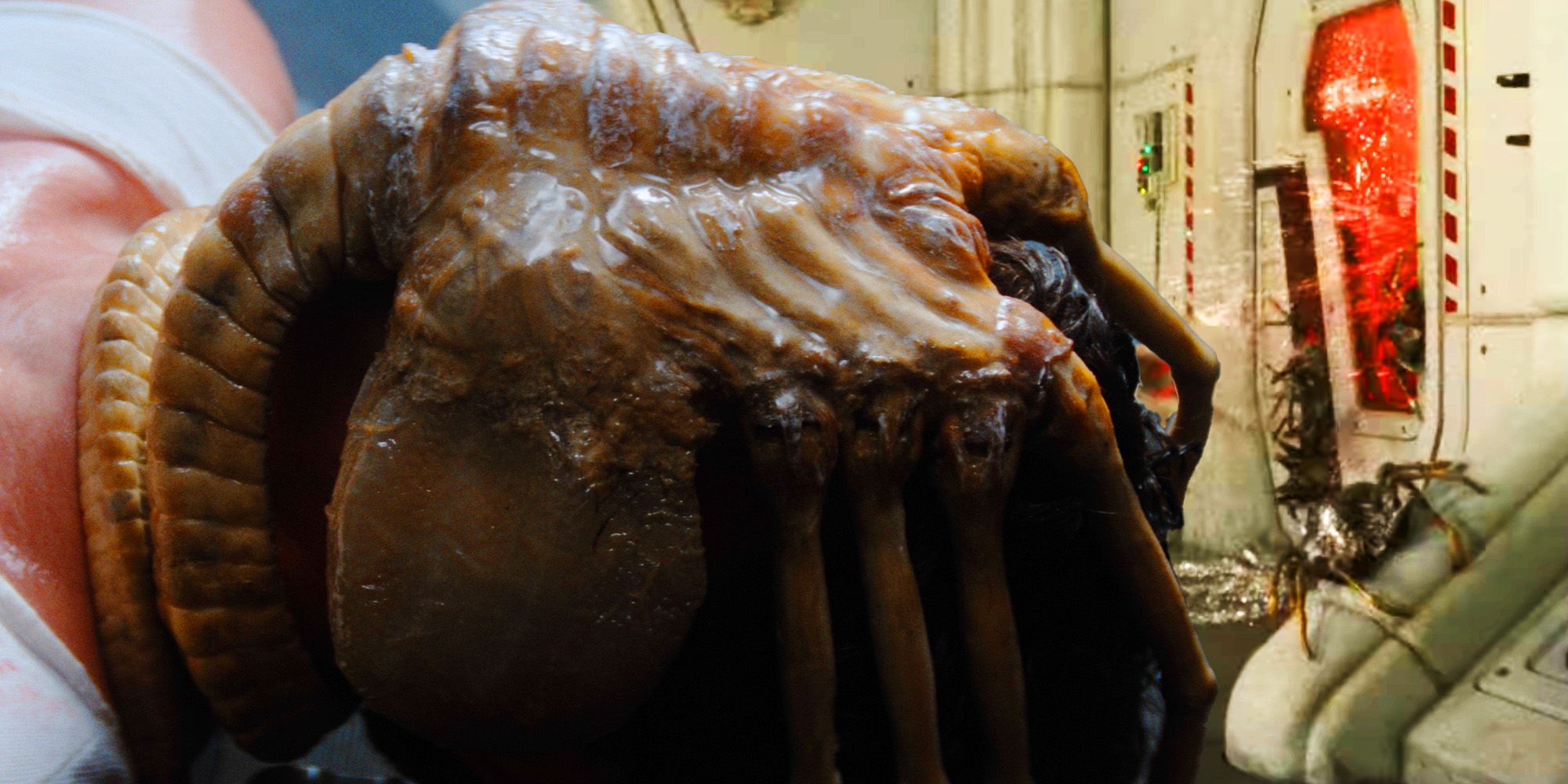 After 45 Years, Alien: Romulus Somehow Managed To Make Facehuggers Even ...