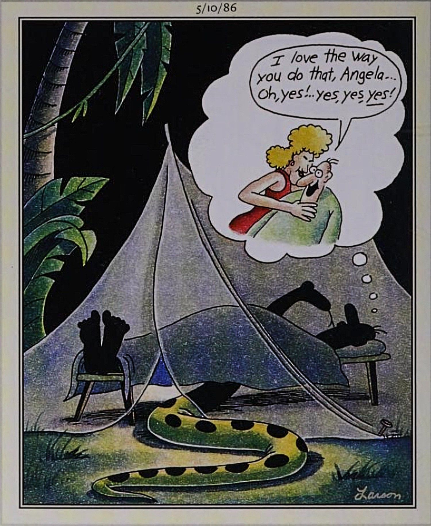 Far Side, um homem sonha com uma mulher quando na verdade uma cobra está rastejando em sua tenda