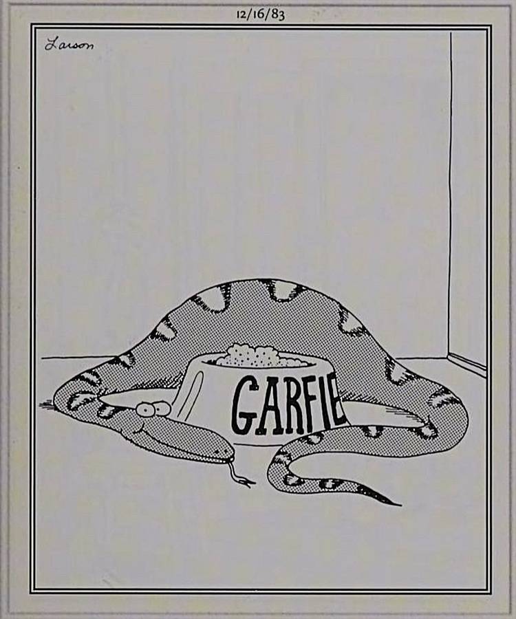 Far Side, a snake ate Garfield
