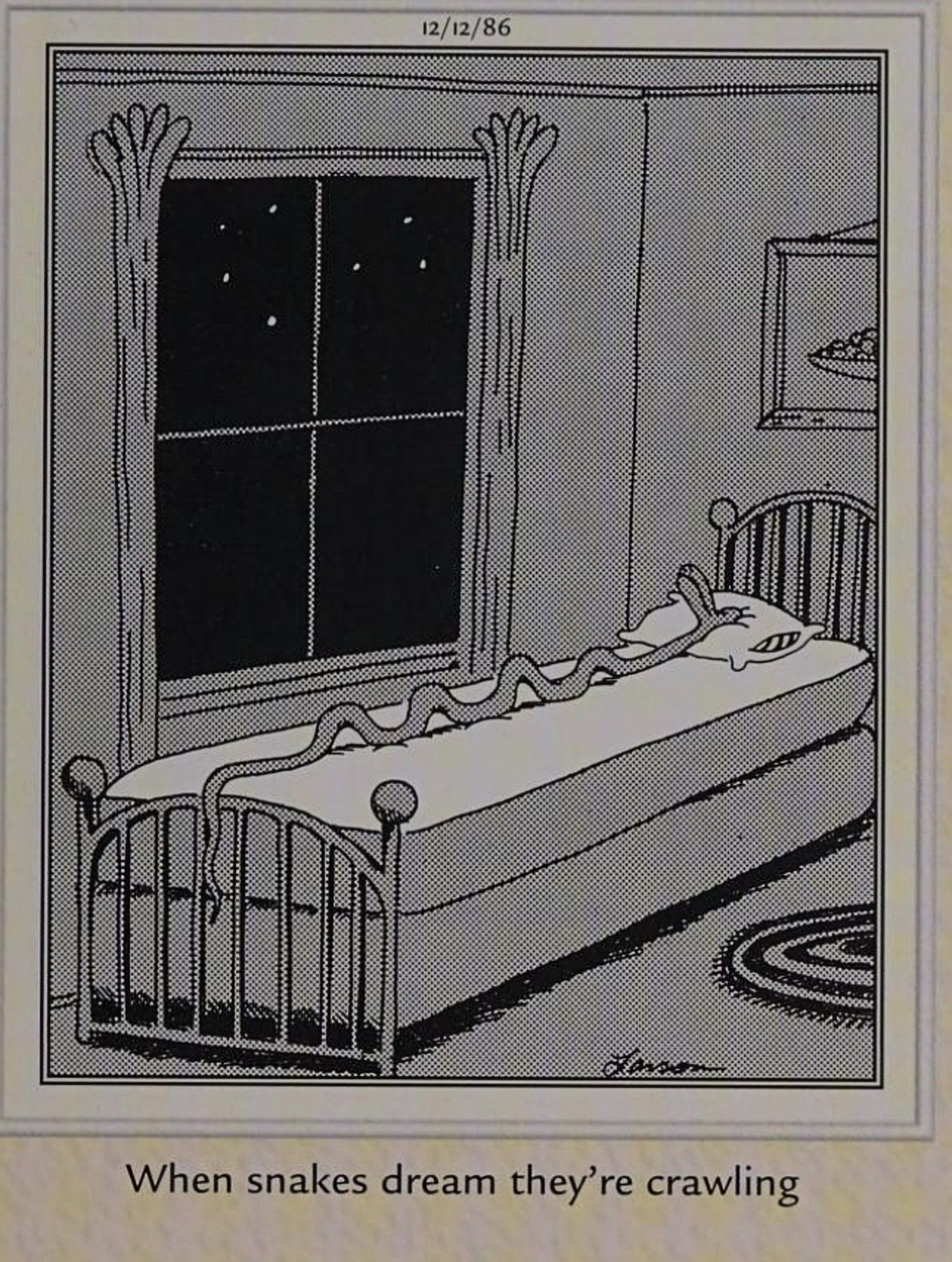 Far Side, uma cobra deitada na cama sonhando que está rastejando no chão