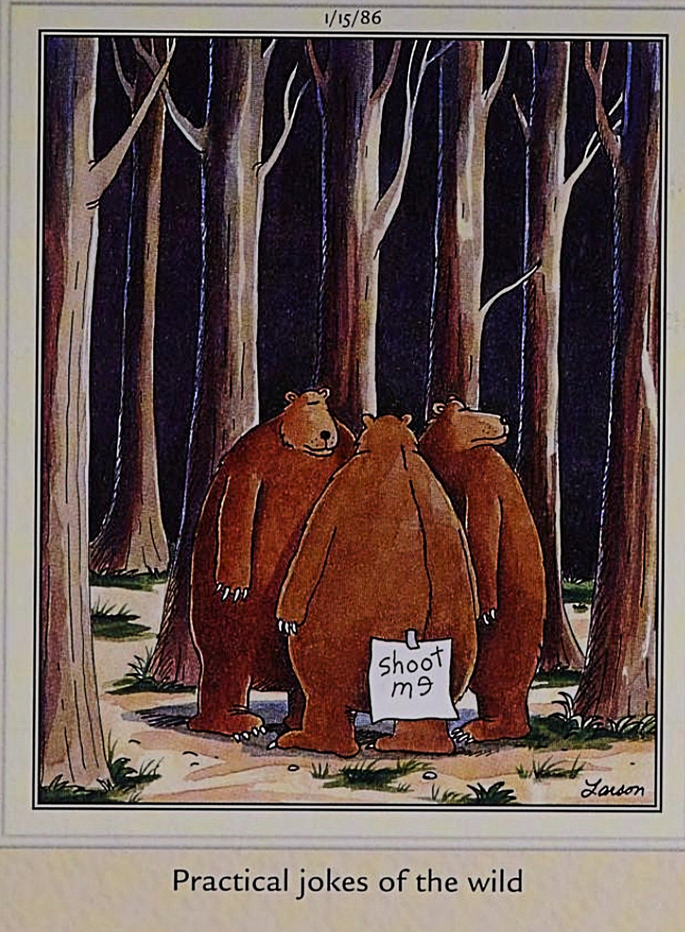 Far Side bear with shoot me sign stuck to its butt