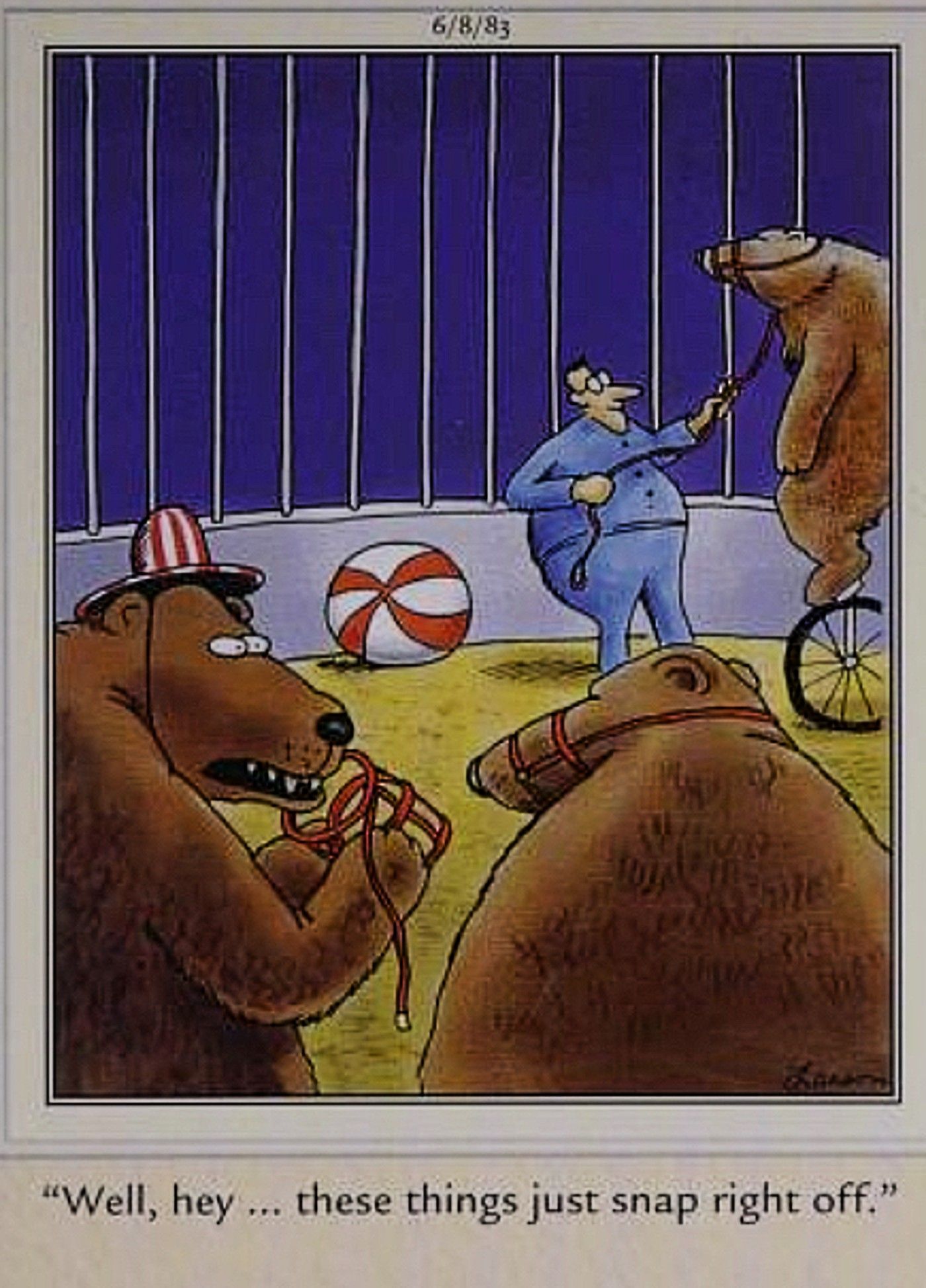 Far Side, circus bears realize their muzzles slip right off