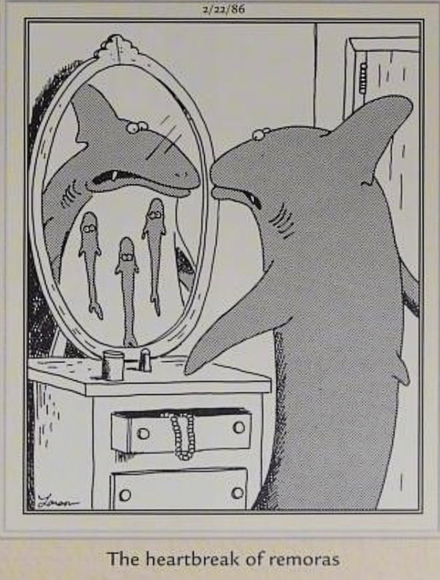 The Far Side comic featuring a shark looking in the mirror at suckerfish on his belly.