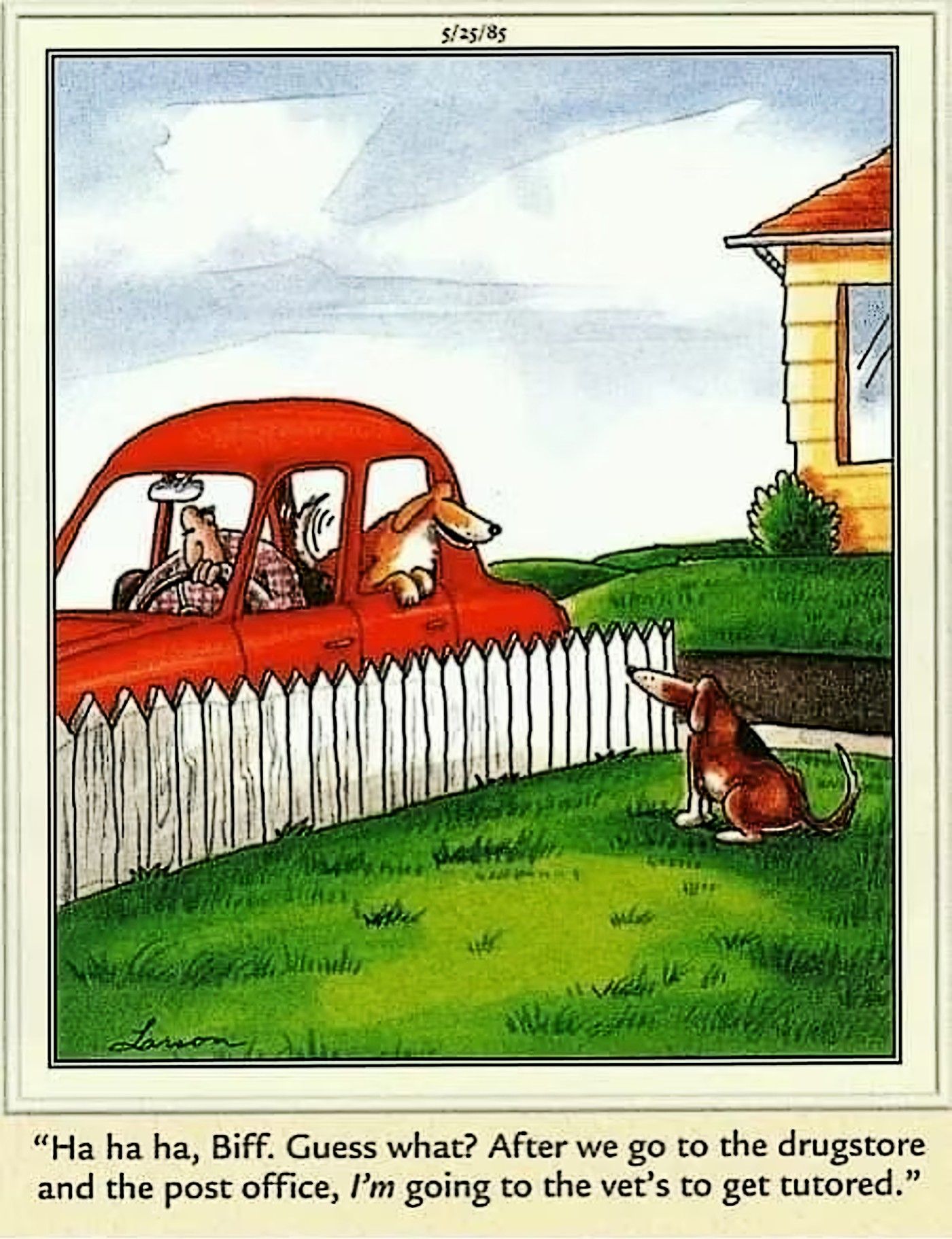 Far Side, dog mistakenly thinks its going to the vet to get tutored, rather than neutered