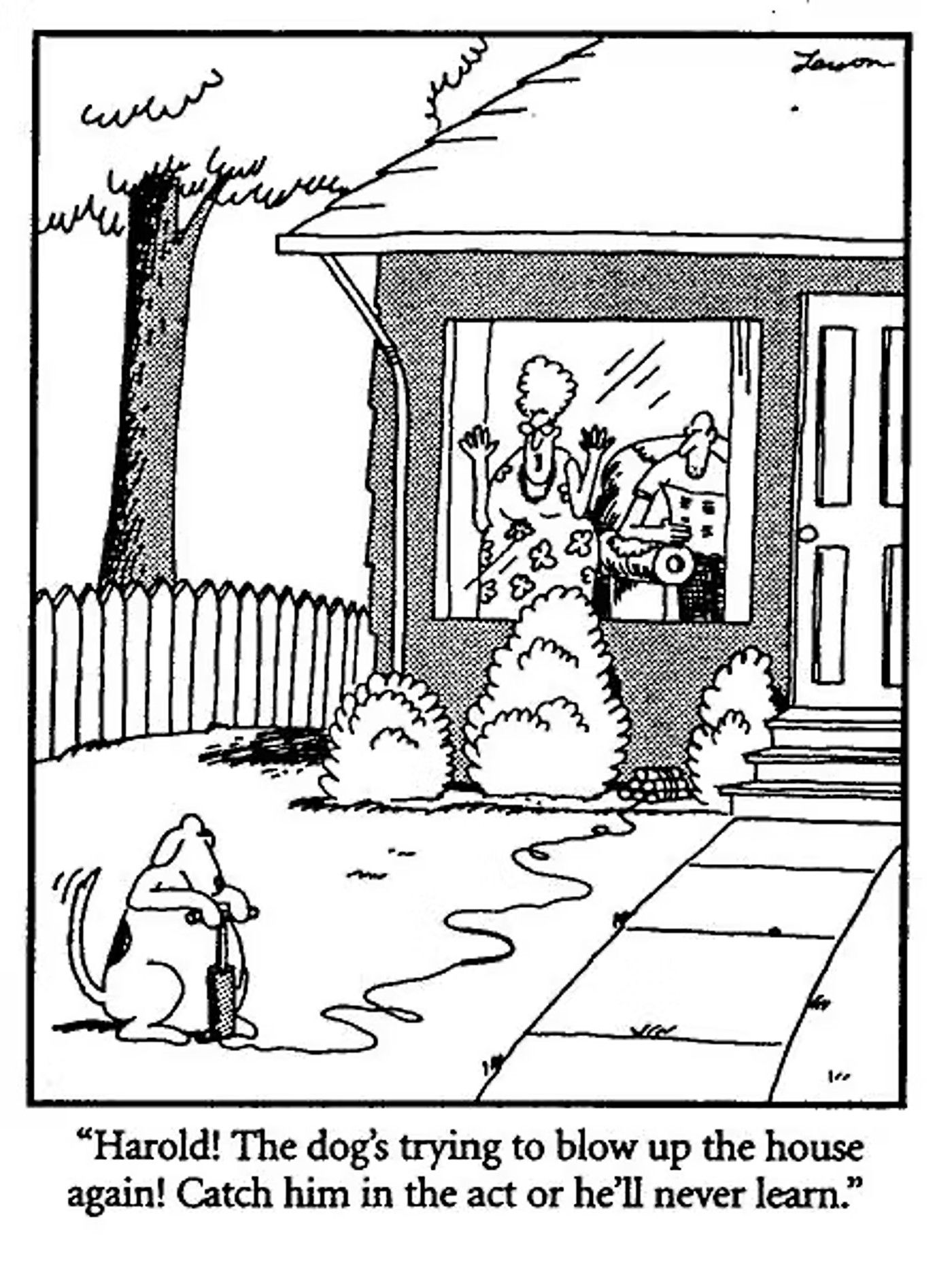 Far Side, "Harold! The dog's trying to blow up the house again!"