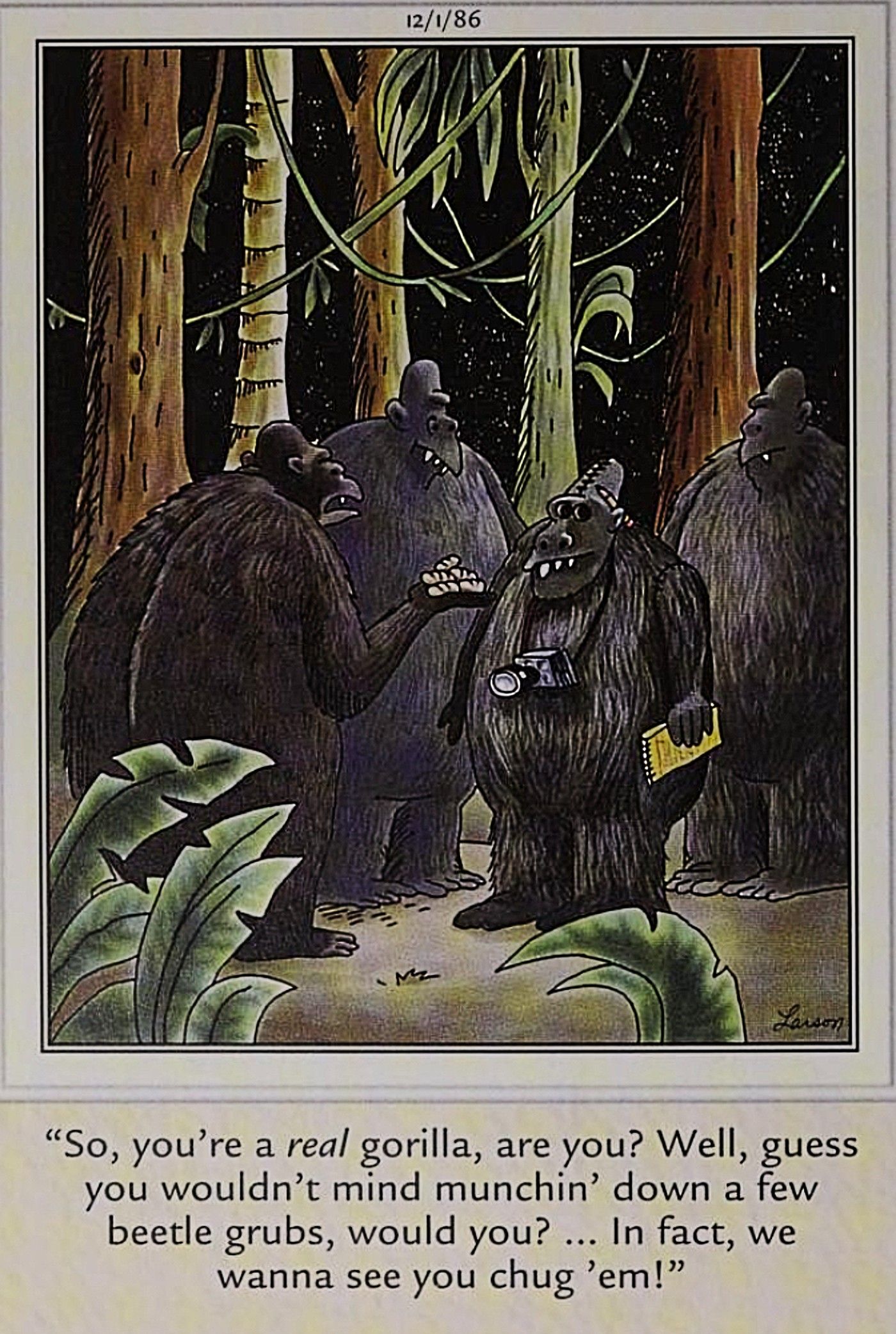 Far Side, fake gorilla is found out by real gorillas