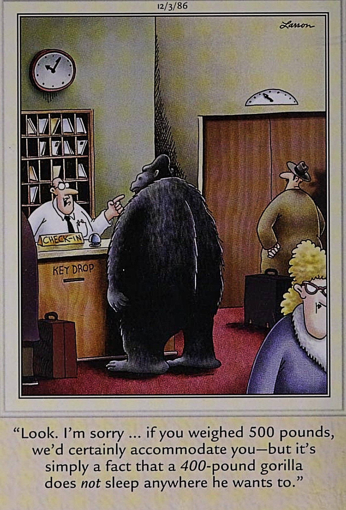 Far Side, gorilla discriminated against for their weight