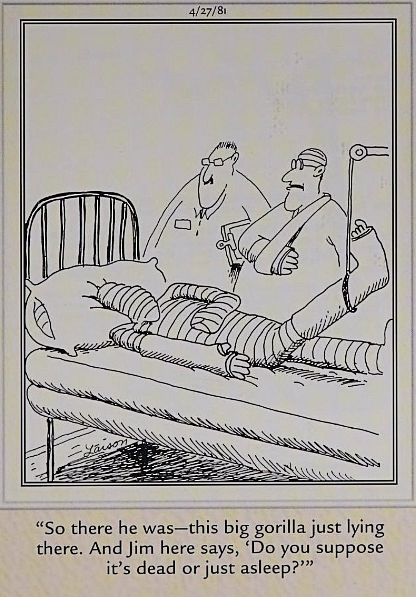 Far Side, man in full body cast after being attacked by gorilla