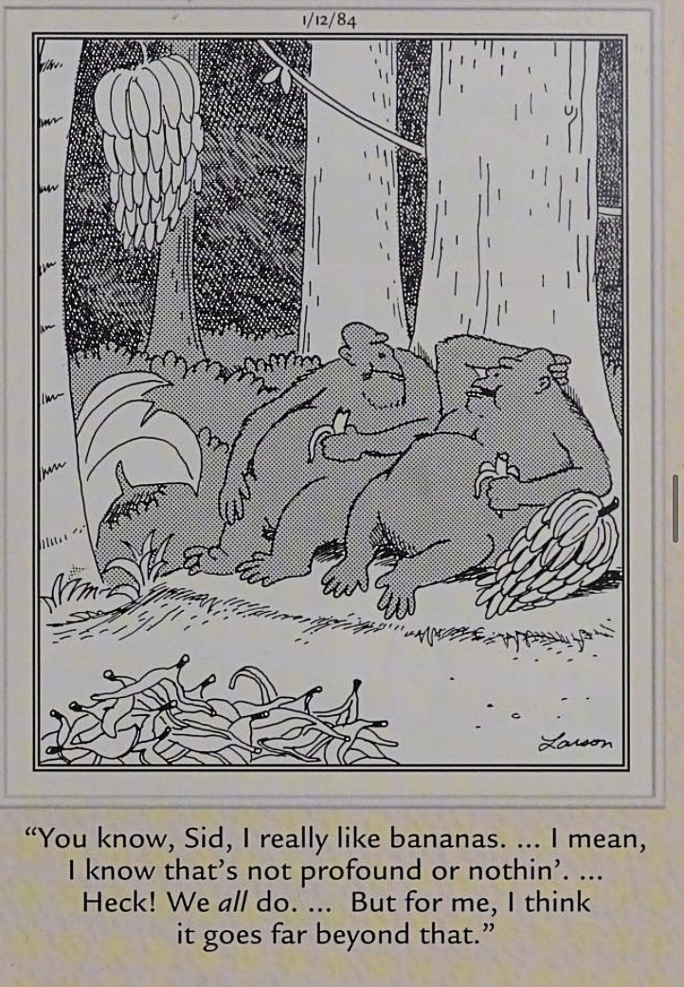 Far Side, one gorilla tells the other, 