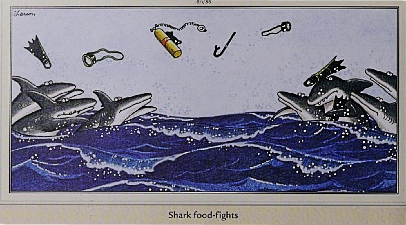 Far Side, shark food fights