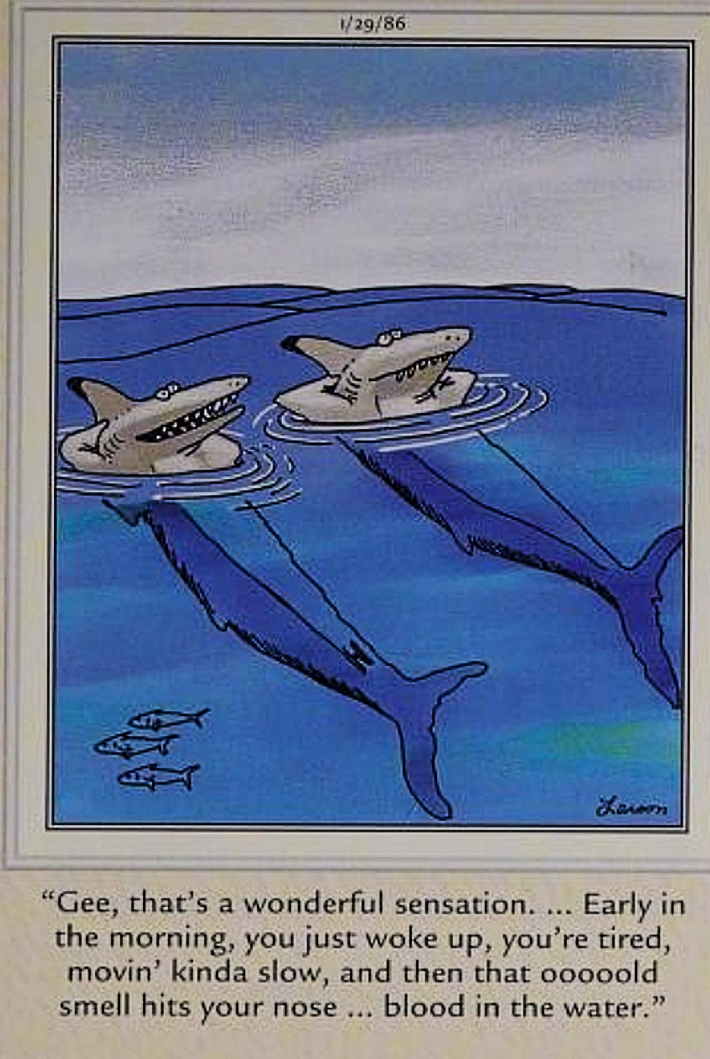 Far Side, sharks talking about the pleasure of a fresh cup of blood in the morning