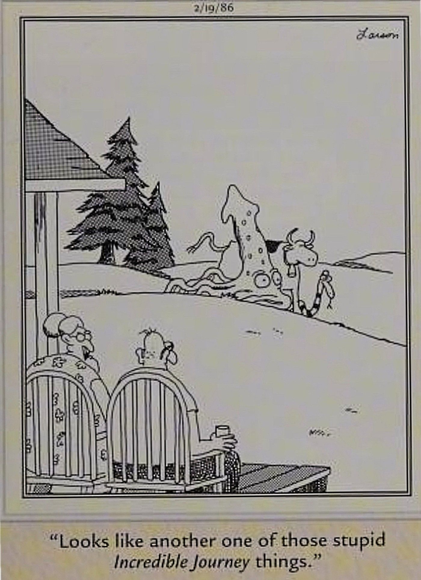 Far Side, squid cow and snake off on an incredible journey together