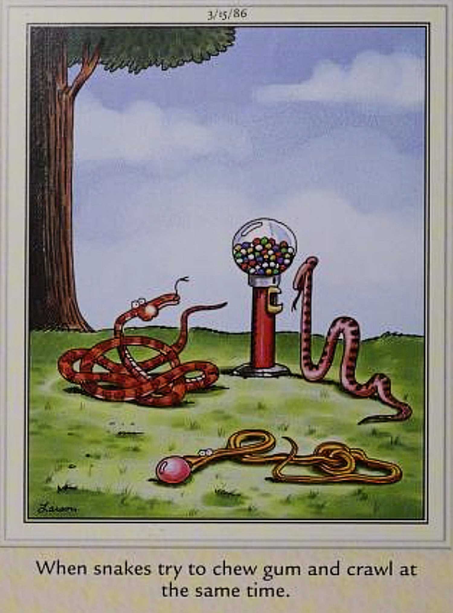 Far Side, when snakes try to chew gum and crawl at the same time
