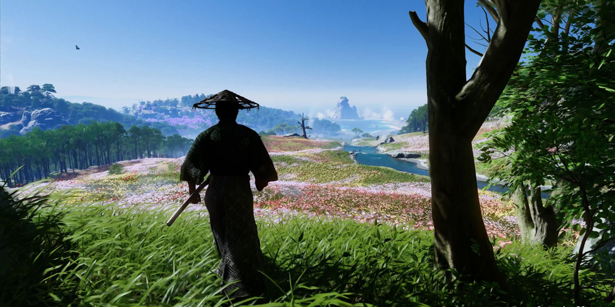 Ghost of Tsushima PC - Jin Sakai overlooking a field
